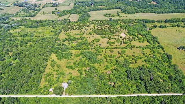 13777 Bohrer Ln, Rayville, MO 64084 - photo 41
