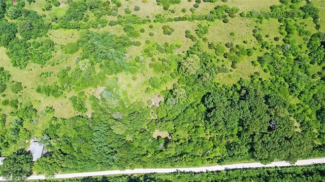 13777 Bohrer Ln, Rayville, MO 64084 - photo 42