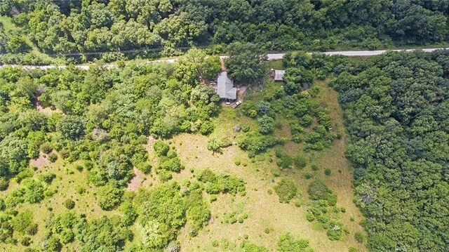 13777 Bohrer Ln, Rayville, MO 64084 - photo 47