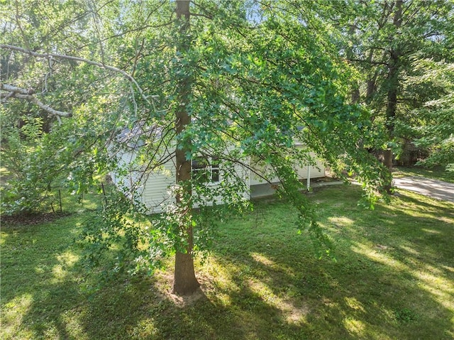 5513 Hardy Ave, Raytown, MO 64133 - view of green lawn