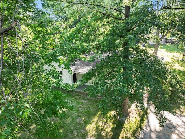 5513 Hardy Ave, Raytown, MO 64133 - view of yard