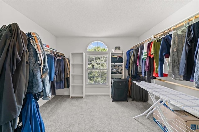 11927 W 131st Ter, Overland Park, KS 66213 - spacious closet with carpet