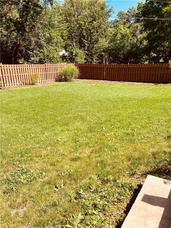 7909 Appleton Ave, Raytown, MO 64138 - view of yard