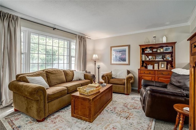 12508 Valley Brook Dr, Grandview, MO 64030 - living area featuring ornamental molding