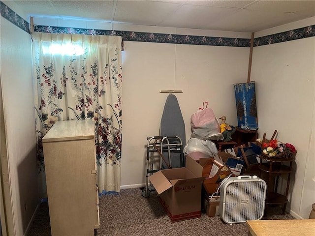409 S Buckeye St, Iola, KS 66749 - basement with carpet