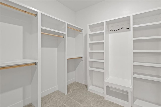 29702 W 195th St, Gardner, KS 66030 - spacious closet with carpet