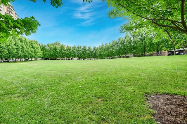 4900 Central St Unit 104, Kansas City, MO 64112 - view of grassy yard