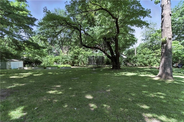 7100 Antioch Rd, Merriam, KS 66204 - view of green lawn with a storage unit