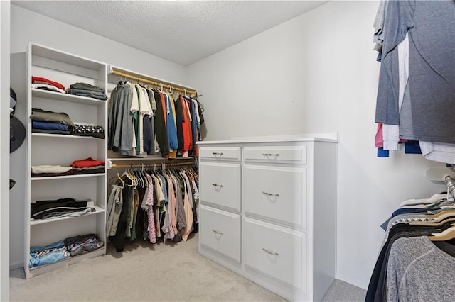 14162 W 150th Ct, Olathe, KS 66062 - walk in closet with light colored carpet
