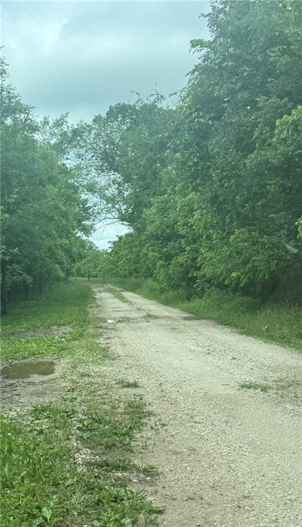 4608 Cloud Ter, Lane, KS 66042 - photo 51
