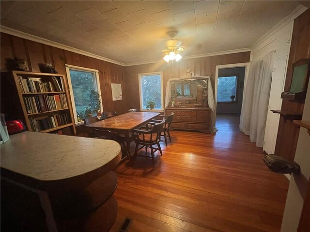 4608 Cloud Ter, Lane, KS 66042 - photo 6