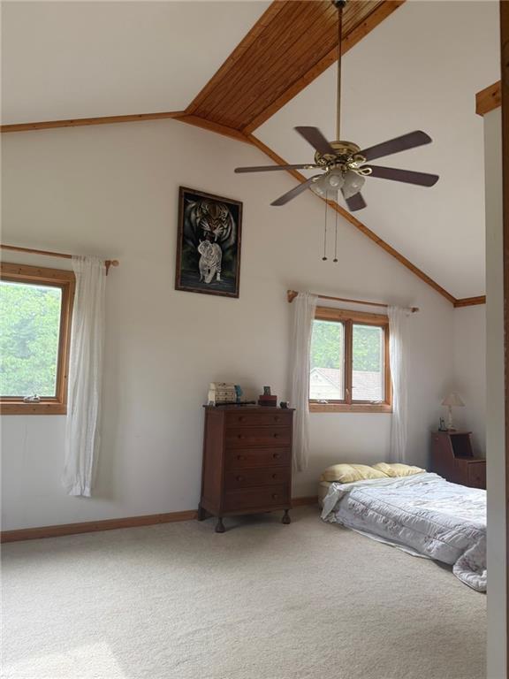 4608 Cloud Ter, Lane, KS 66042 - photo 35