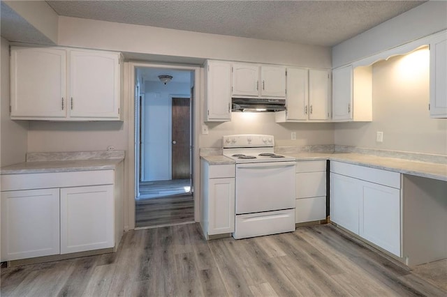 8029 E 130th Ct, Grandview, MO 64030 - photo 6