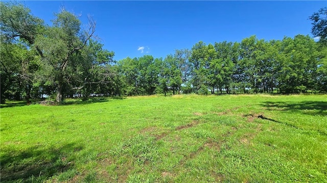 1443 215th St, Fort Scott, KS 66701 - view of green lawn