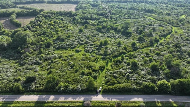 19702 County Rd C Hwy, Holt, MO 64048 - photo 1