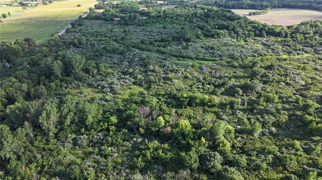 19702 County Rd C Hwy, Holt, MO 64048 - photo 3