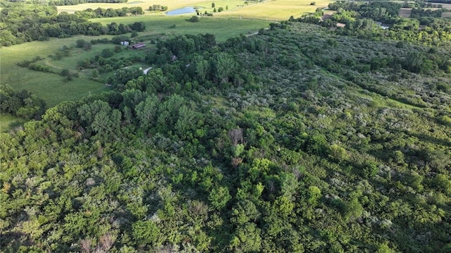 19702 County Rd C Hwy, Holt, MO 64048 - photo 5