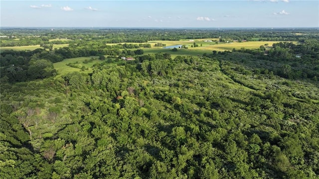 19702 County Rd C Hwy, Holt, MO 64048 - photo 7