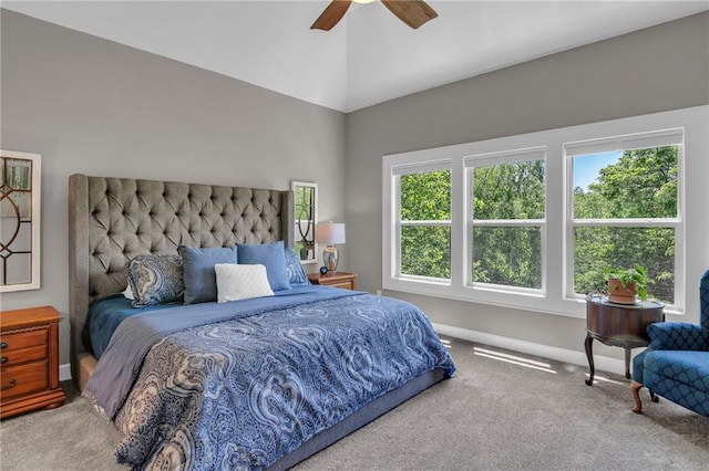 2577 W Elm St, Olathe, KS 66061 - photo 16