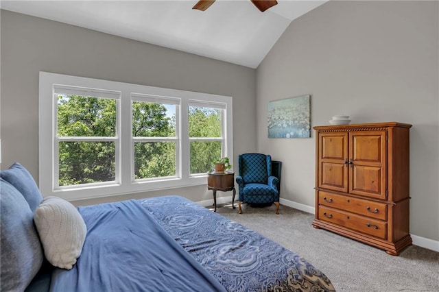 2577 W Elm St, Olathe, KS 66061 - photo 18
