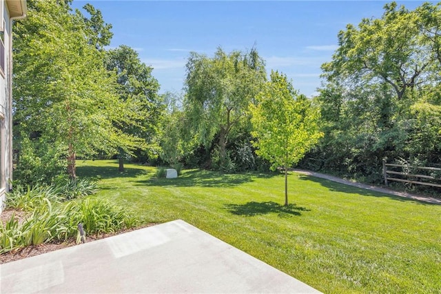2577 W Elm St, Olathe, KS 66061 - photo 50