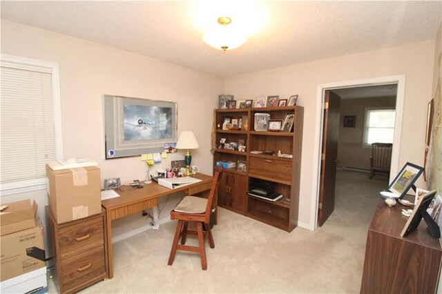 27 Partridge Dr, Agency, MO 64401 - photo 34