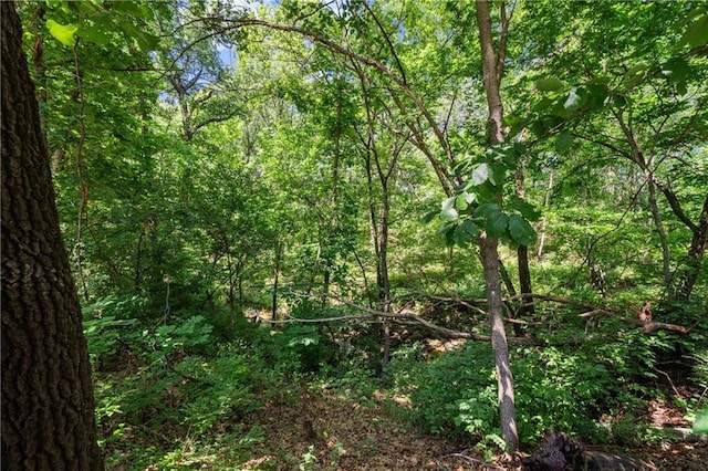 3904 Crk 3600, Independence, KS 67301 - photo 25