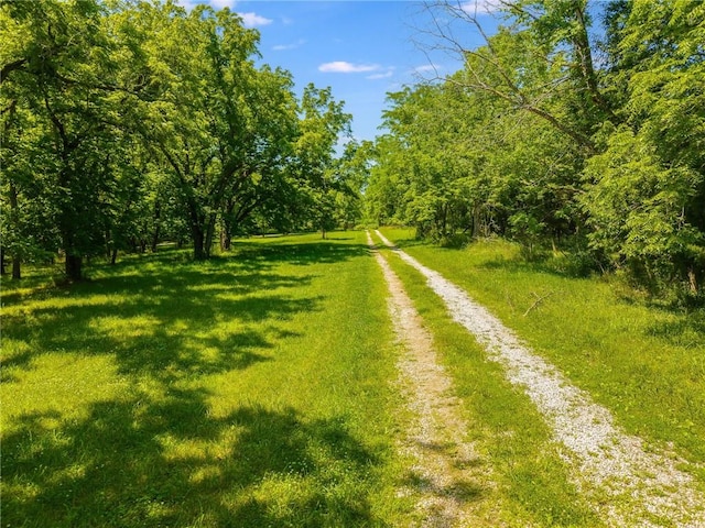 8919 S Hardsaw Rd, Lone Jack, MO 64070 - photo 10