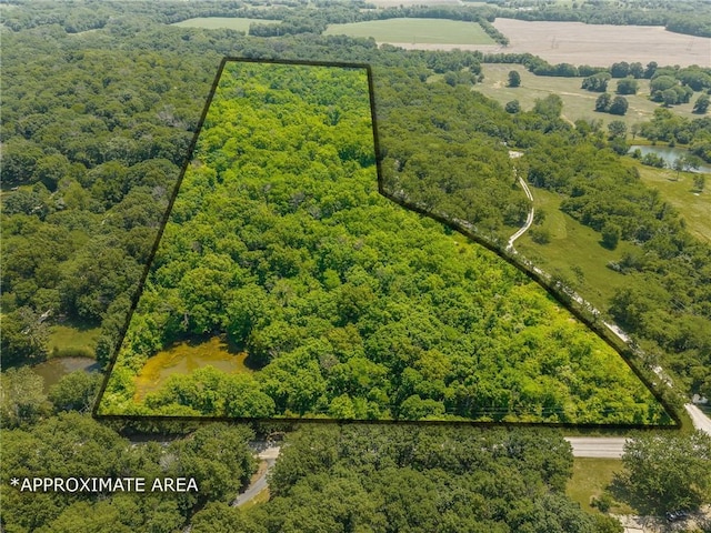 8919 S Hardsaw Rd, Lone Jack, MO 64070 - photo 12