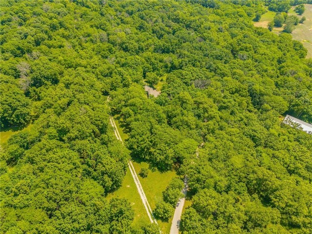 8919 S Hardsaw Rd, Lone Jack, MO 64070 - photo 15
