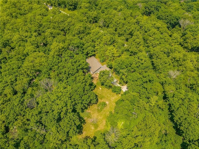 8919 S Hardsaw Rd, Lone Jack, MO 64070 - photo 16