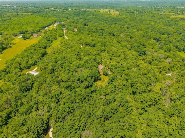 8919 S Hardsaw Rd, Lone Jack, MO 64070 - photo 17