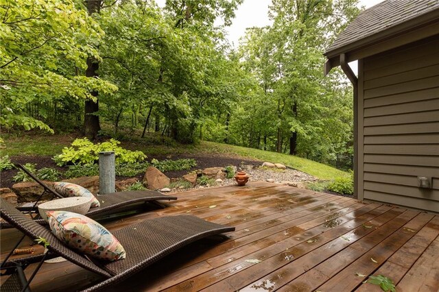 10522 River Hills Dr, Parkville, MO 64152 - photo 22