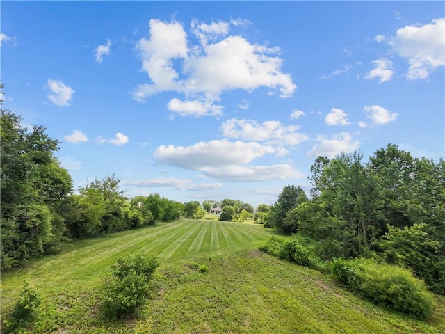 3602 S Sweeney Rd, Grain Valley, MO 64029 - view of grassy yard