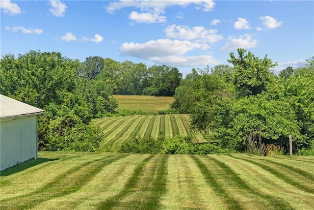 3602 S Sweeney Rd, Grain Valley, MO 64029 - view of green lawn