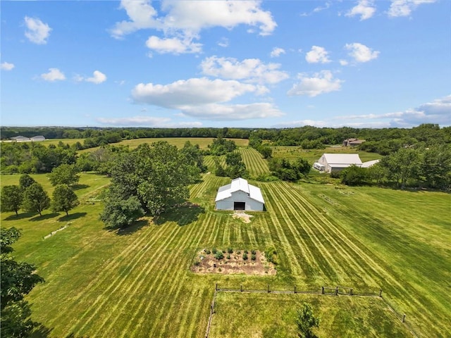 3602 S Sweeney Rd, Grain Valley, MO 64029 - overview of rural landscape with rows of crops