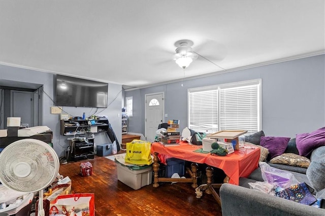 900 S Hunter Dr, Olathe, KS 66061 - living area featuring wood finished floors, a ceiling fan, plenty of natural light, and crown molding