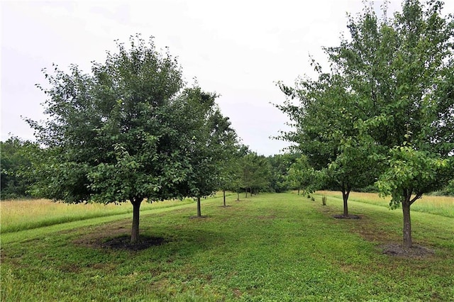 510 NW 100th St, Spickard, MO 64679 - photo 45