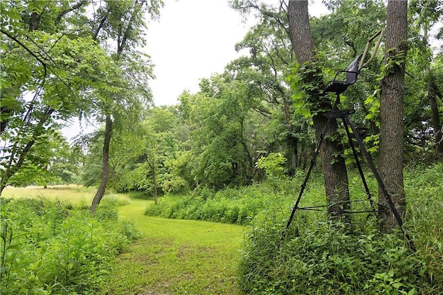 510 NW 100th St, Spickard, MO 64679 - photo 50