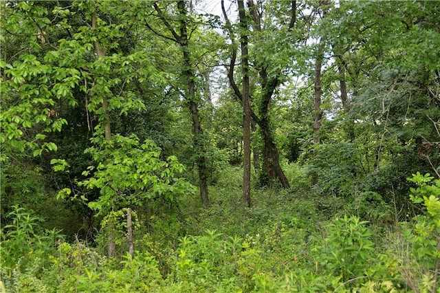 510 NW 100th St, Spickard, MO 64679 - photo 60
