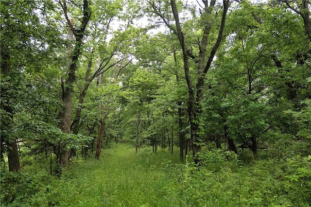 510 NW 100th St, Spickard, MO 64679 - photo 62