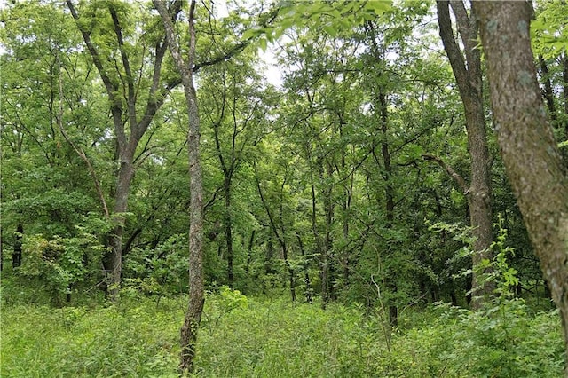 510 NW 100th St, Spickard, MO 64679 - photo 64