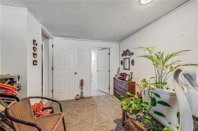 1410 SW 11th St, Blue Springs, MO 64015 - photo 10