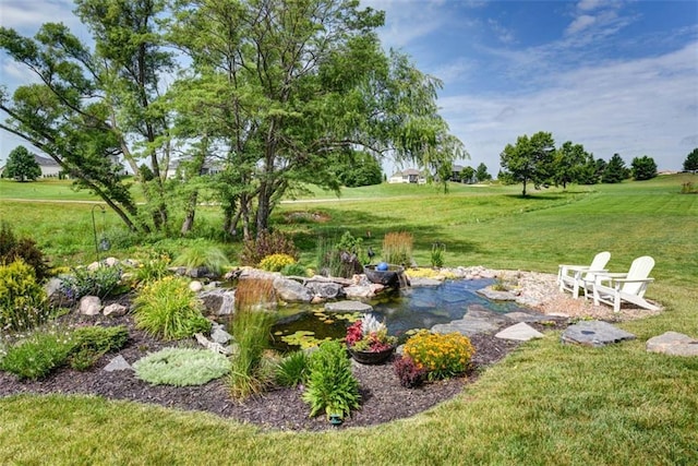 14423 N 145th St, Basehor, KS 66007 - view of grassy yard with a small pond