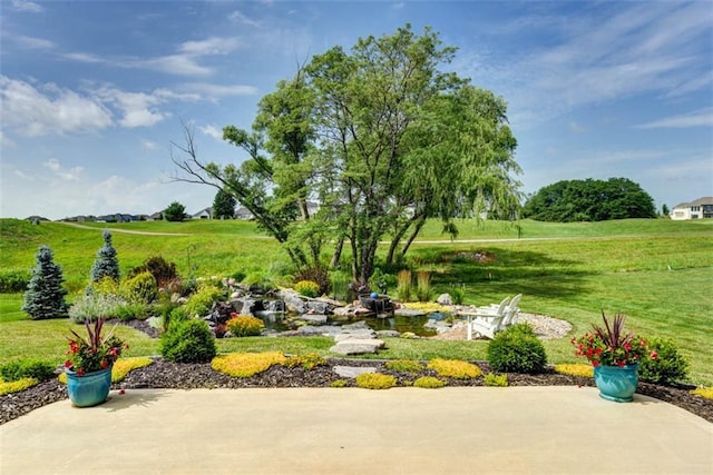 14423 N 145th St, Basehor, KS 66007 - view of yard