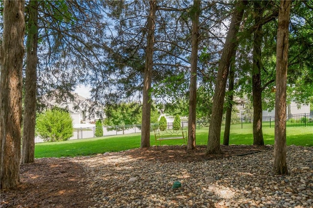 23852 W 124th Ct, Olathe, KS 66061 - view of yard