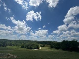 25372 Metro Ave, Tonganoxie, KS 66086 - view of property's community featuring a view of trees and a yard