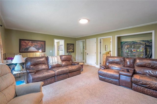 12432 Lamar Ave, Overland Park, KS 66209 - living area featuring light colored carpet and ornamental molding