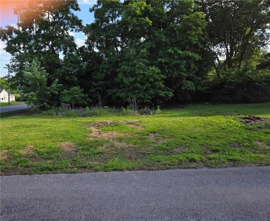 Pine St, Harrisonville, MO 64701 - photo 2