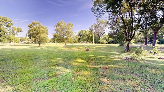 921 E Vine St, Rich Hill, MO 64779 - view of green lawn